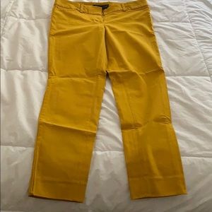 Ankle Pant in Exact Stretch